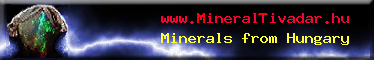 Click to visit www.mineraltivadar.hu